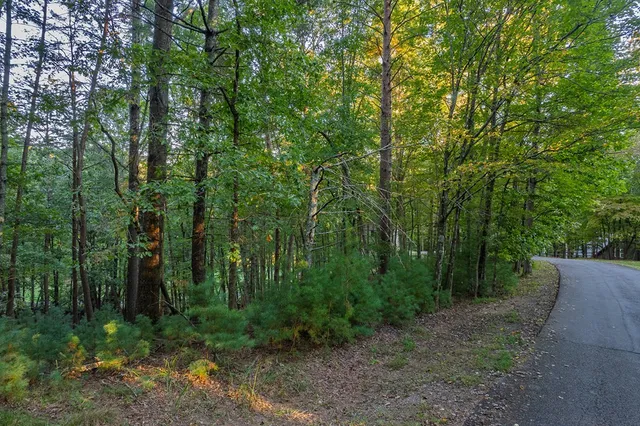 $42,000 | 228 Toccoa Court, Ellijay, GA 30540