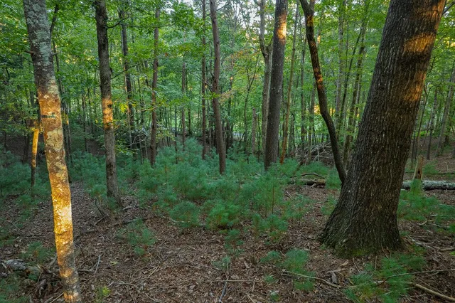 $42,000 | 228 Toccoa Court, Ellijay, GA 30540