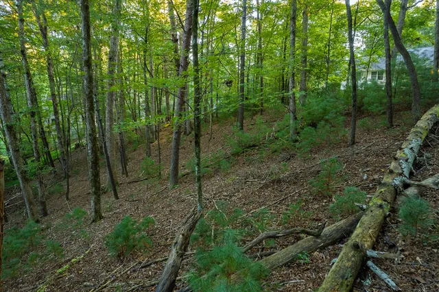 $42,000 | 228 Toccoa Court, Ellijay, GA 30540