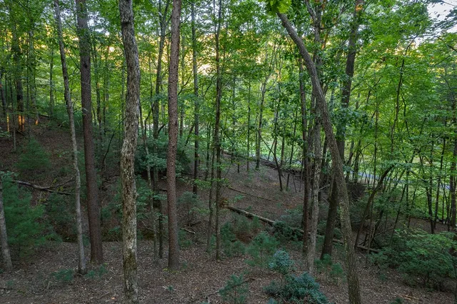 $42,000 | 228 Toccoa Court, Ellijay, GA 30540