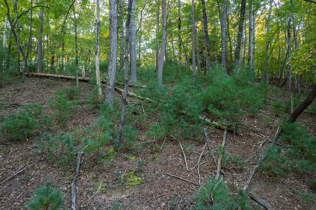 $42,000 | 228 Toccoa Court, Ellijay, GA 30540