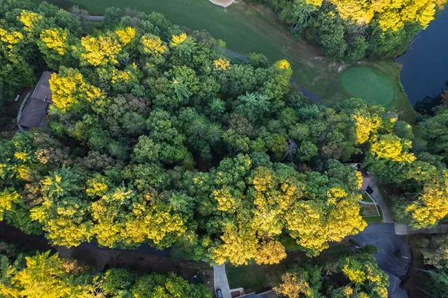 $42,000 | 228 Toccoa Court, Ellijay, GA 30540