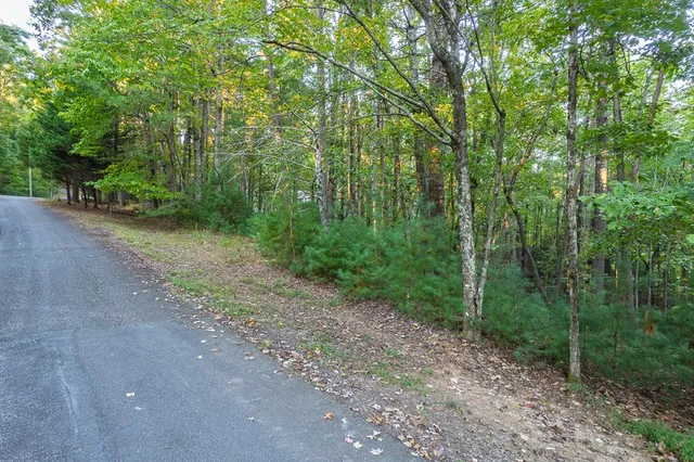 $42,000 | 228 Toccoa Court, Ellijay, GA 30540