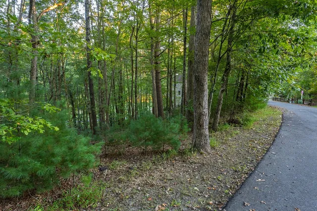 $42,000 | 228 Toccoa Court, Ellijay, GA 30540