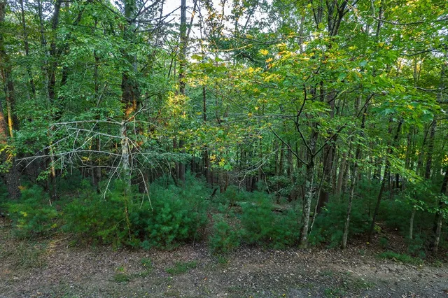 $42,000 | 228 Toccoa Court, Ellijay, GA 30540