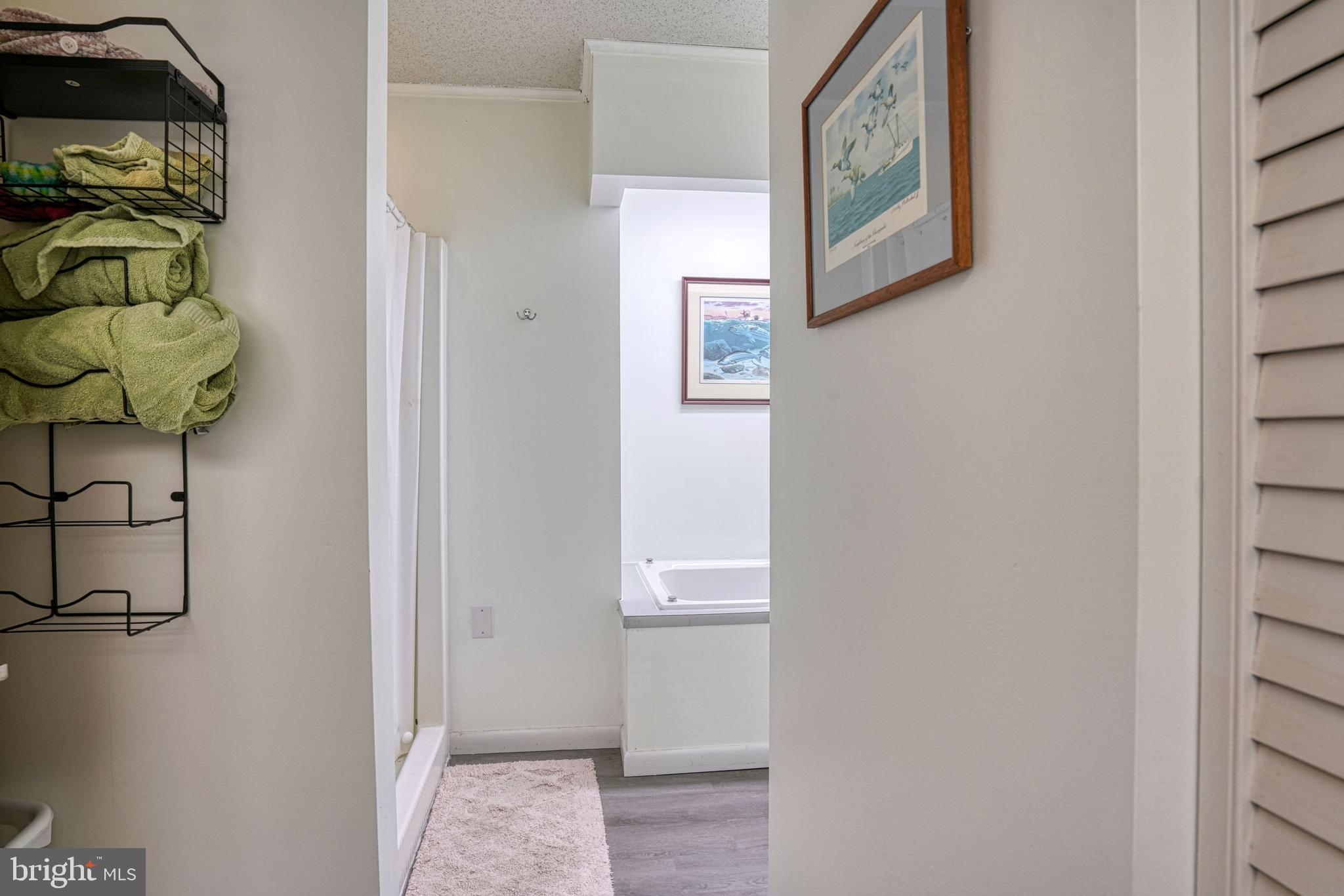 13023 Mason Branch Road Ridgely, MD 21660 - Photo 71 of 111 Gallery Image 71