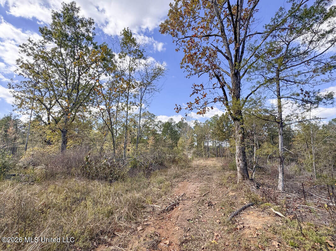 154 County Road Tillatoba, MS 38961 - Photo 46 of 58 4kgrdnyba14-orig_orig