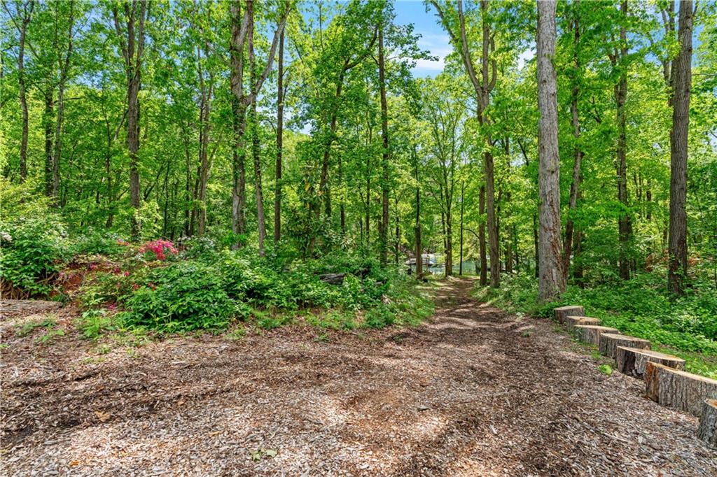 6265 Reives Road Cumming, GA 30041 - Photo 54 of 63