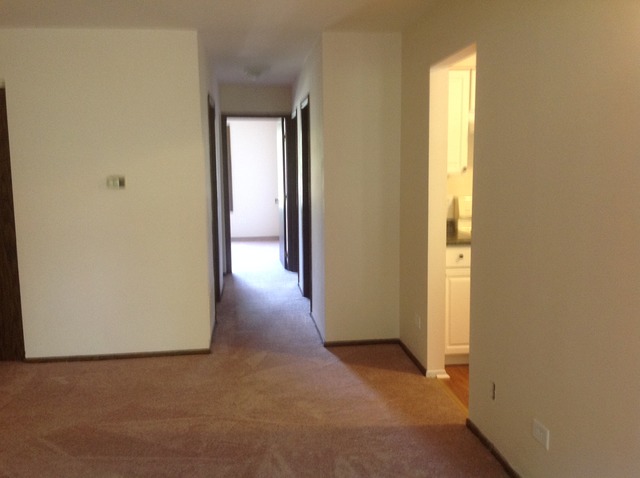 1454 North Elmhurst Road, Unit 201B Mount Prospect, IL 60056 - Photo 11 of 18