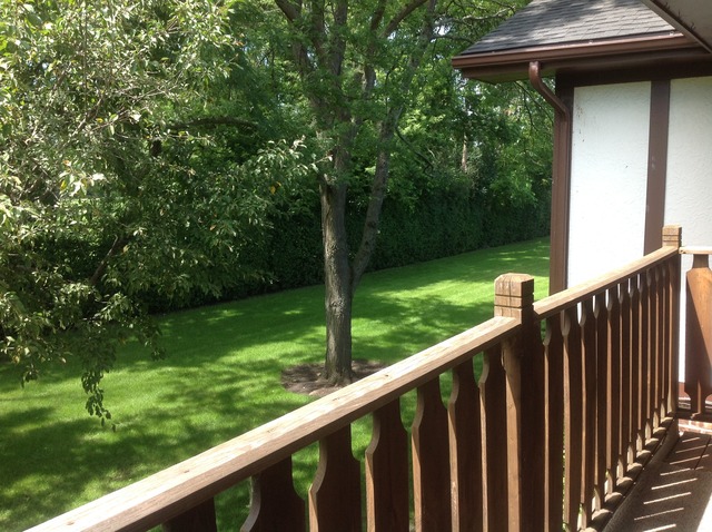 1454 North Elmhurst Road, Unit 201B Mount Prospect, IL 60056 - Photo 17 of 18