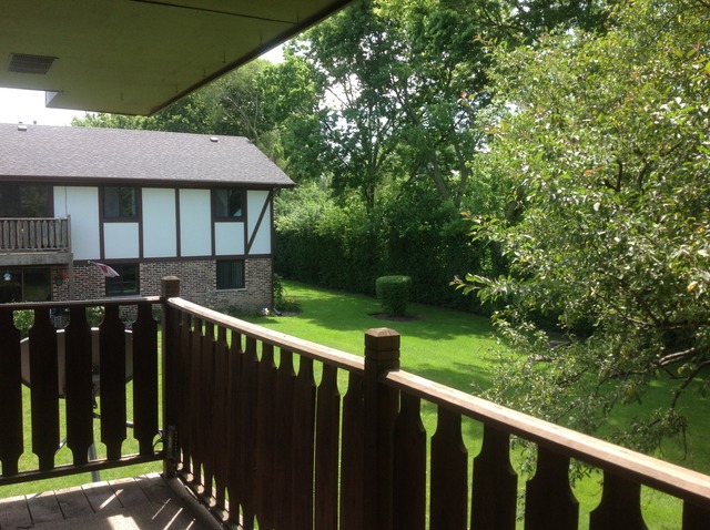 1454 North Elmhurst Road, Unit 201B Mount Prospect, IL 60056 - Photo 18 of 18