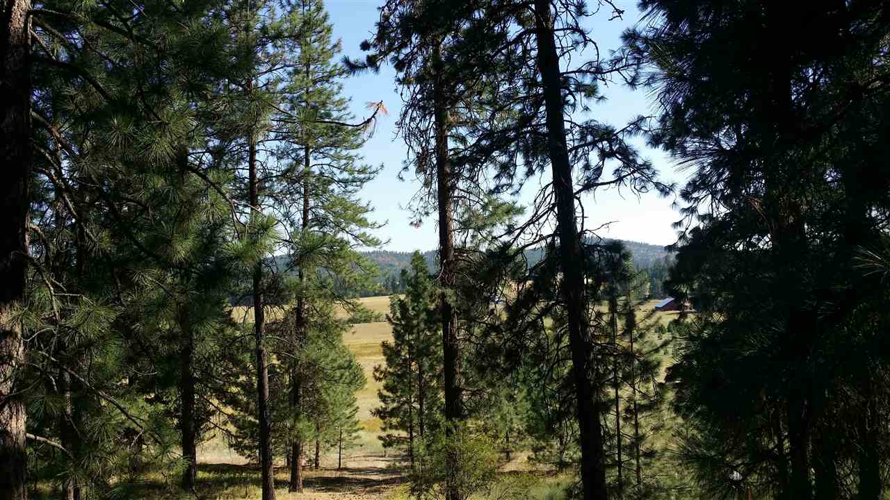 5055 South Swenson Road Deer Park, WA 99006 - Photo 20 of 20 Gallery Image 20