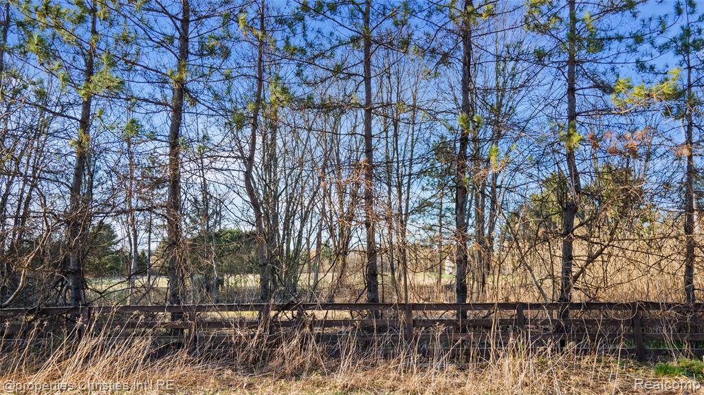 E East Hunters Creek Road Metamora, MI 48455 - Photo 11 of 11