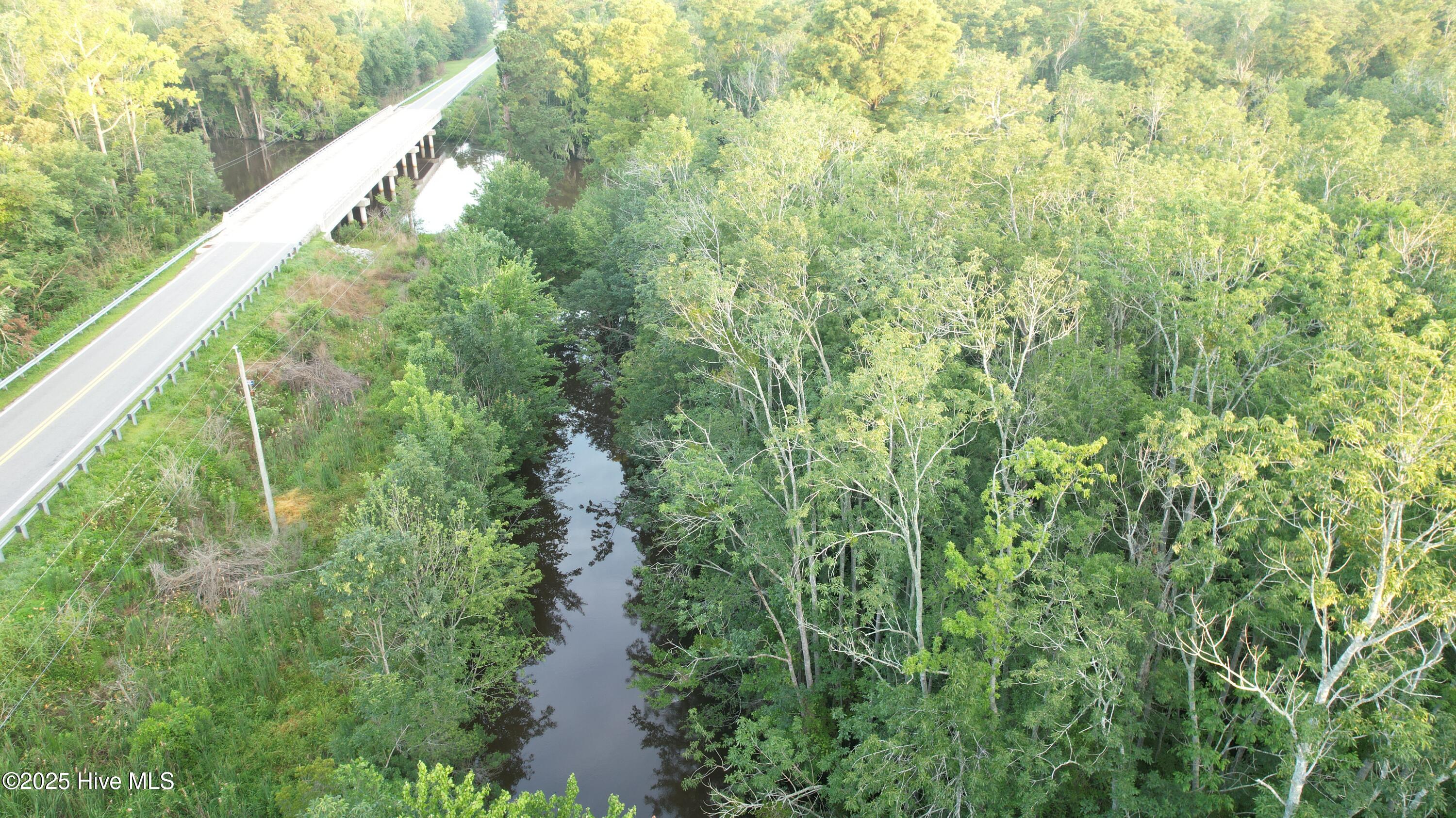 8103 Mackeys Road Roper, NC 27970 - Photo 16 of 24 Canal on property can be dredged for boat docks