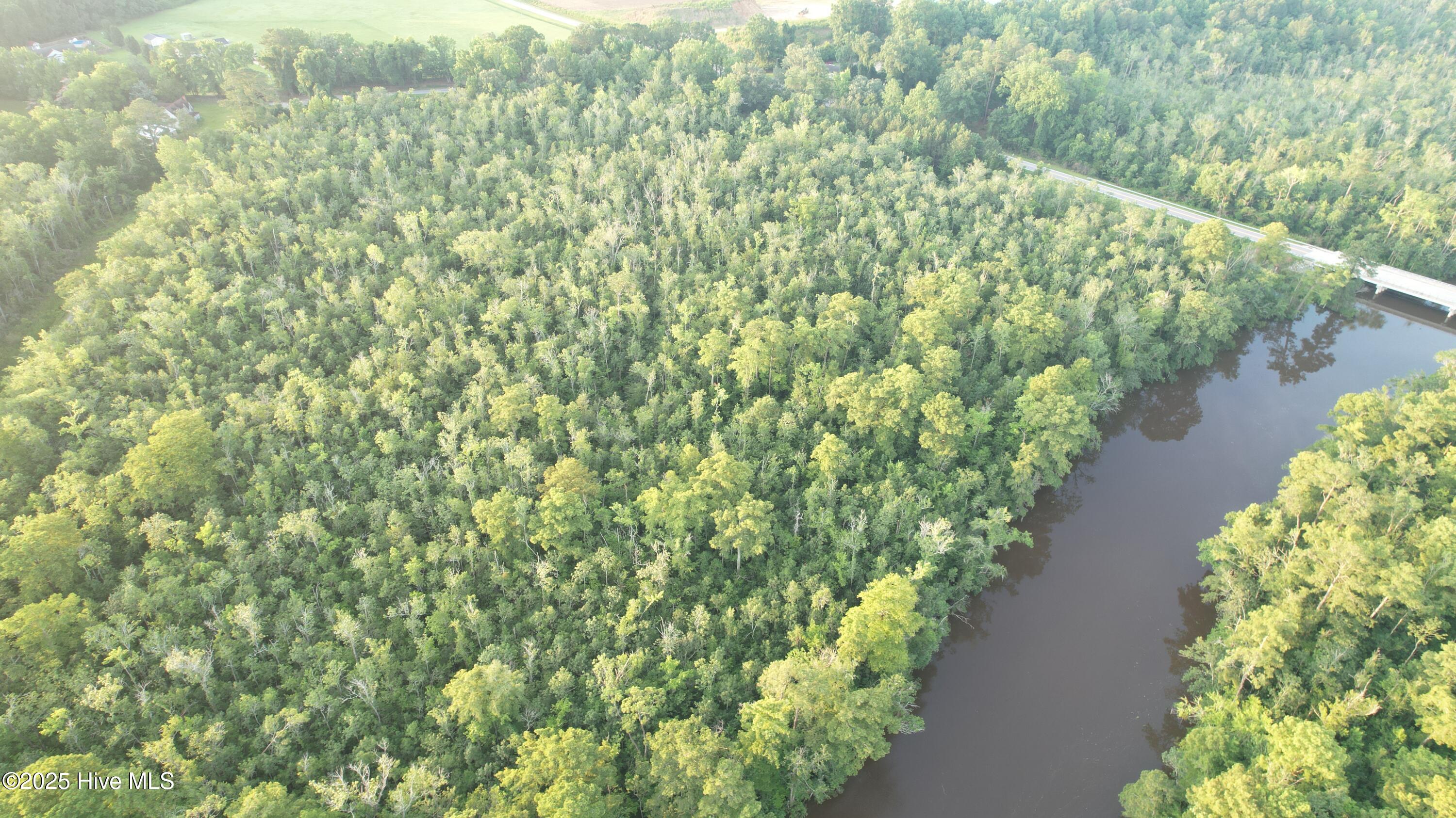 8103 Mackeys Road Roper, NC 27970 - Photo 17 of 24 Land on Mackeys Creek
