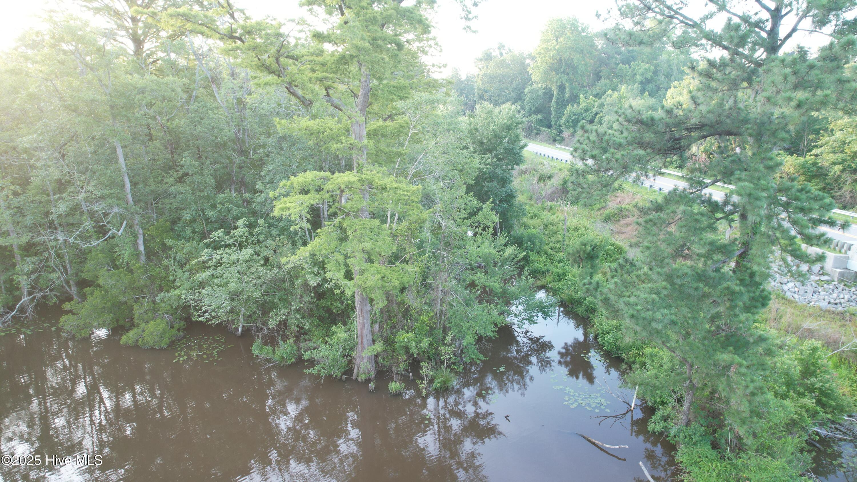 8103 Mackeys Road Roper, NC 27970 - Photo 18 of 24 Mackeys Creek and canal on property