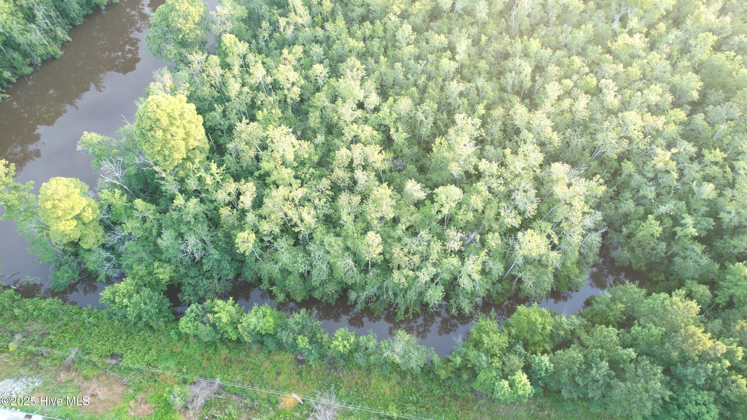 8103 Mackeys Road Roper, NC 27970 - Photo 3 of 13 Mackeys Creek and canal on property