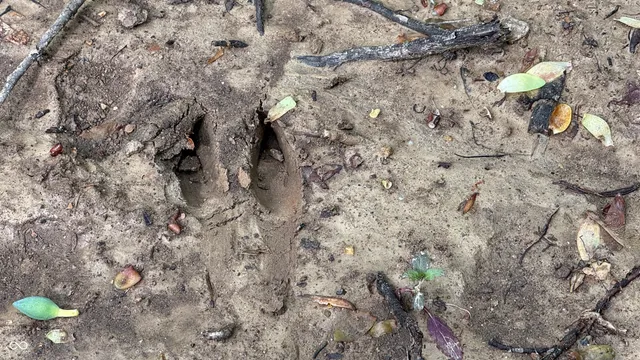 $249,900 | 3 Fiscus Cemetery Road, Coal City, IN 47427