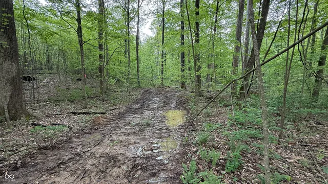 $249,900 | 3 Fiscus Cemetery Road, Coal City, IN 47427