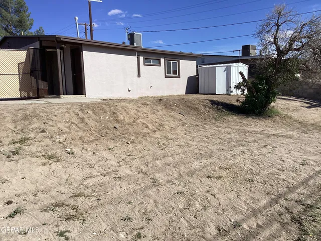 a plant with lots of flowers
