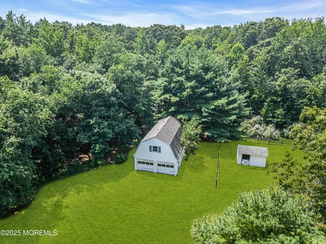 a view of a large trees with lots of flower plants