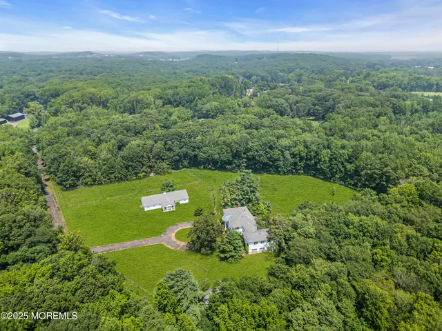 a view of a green yard with large trees