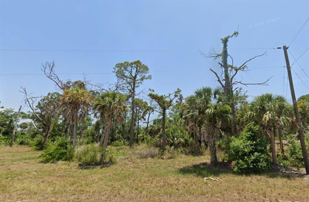 7 Skipper Lane Placida, FL 33946 - Photo 6 of 6 a view of a yard