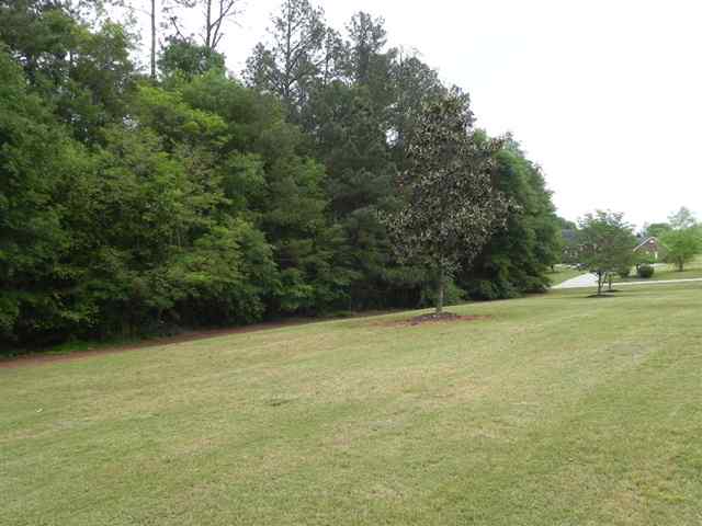409 Devon Way Anderson, SC 29621 - Photo 22 of 25