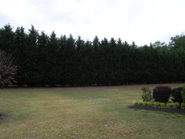 409 Devon Way Anderson, SC 29621 - Photo 23 of 25