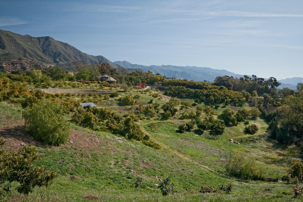312 Fairview Road Ojai, CA 93023 - Photo 6 of 24 a view of a forest with mountains in the background