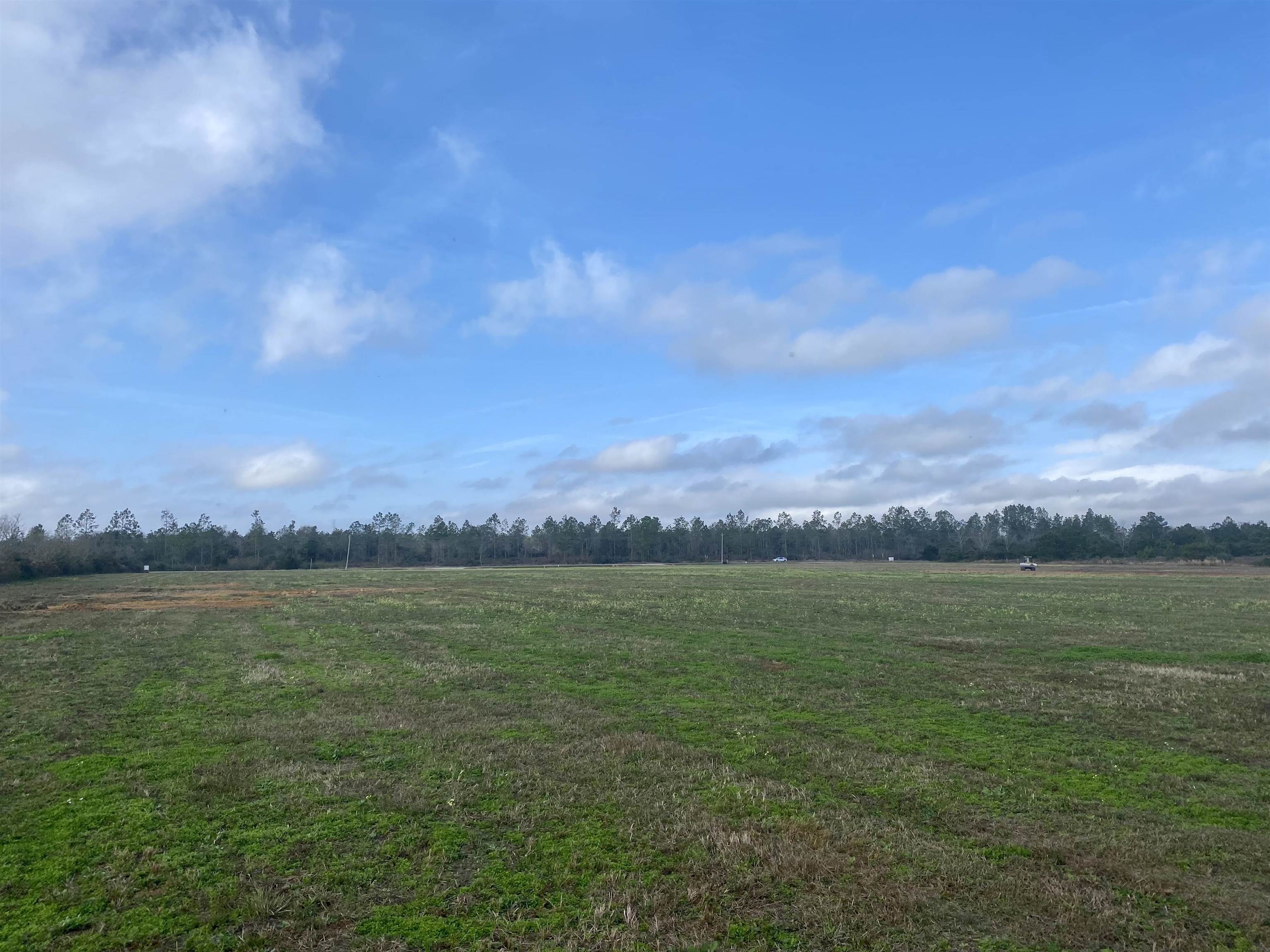 Lot 8 County Road 87 Elberta, AL 36530 - Photo 1 of 1