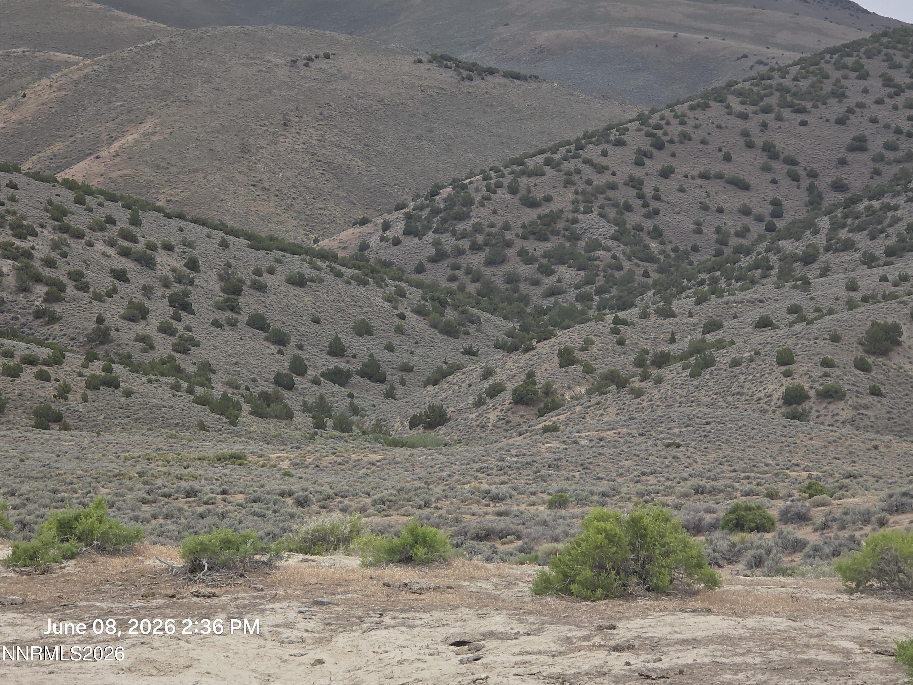 X Jungo Road Winnemucca, NV 89445 - Photo 5 of 7 20260608_143653
