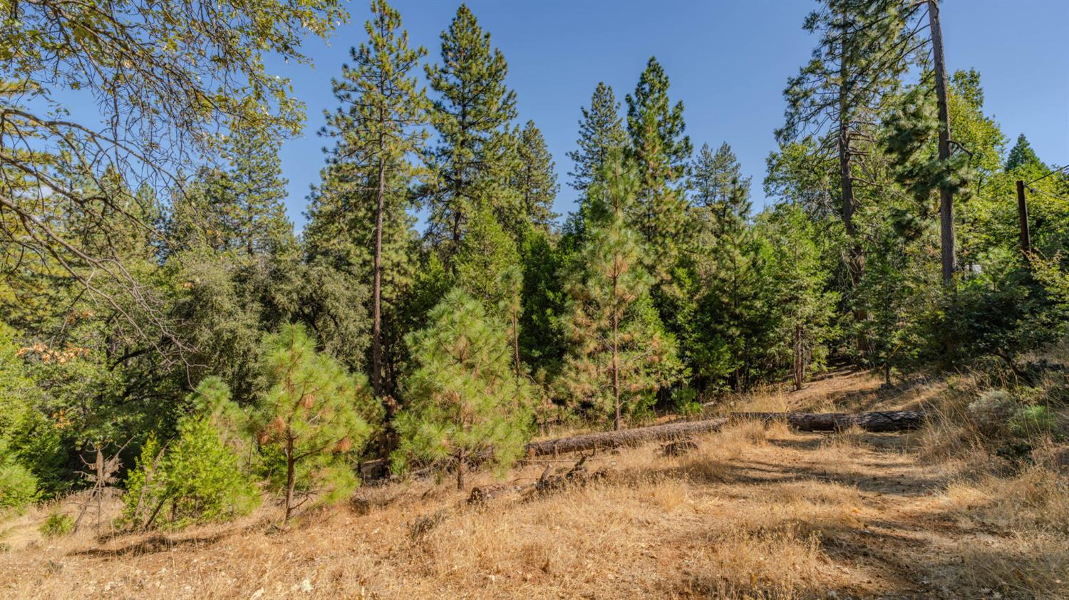 11456 Gold Strike Road Pine Grove, CA 95665 - Photo 16 of 24 Gallery Image 16
