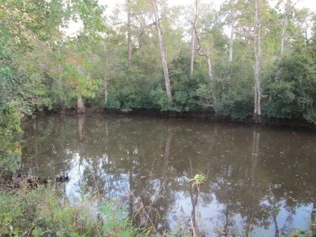 $65,000 | 57016 Highway 439, Bogalusa, LA 70427