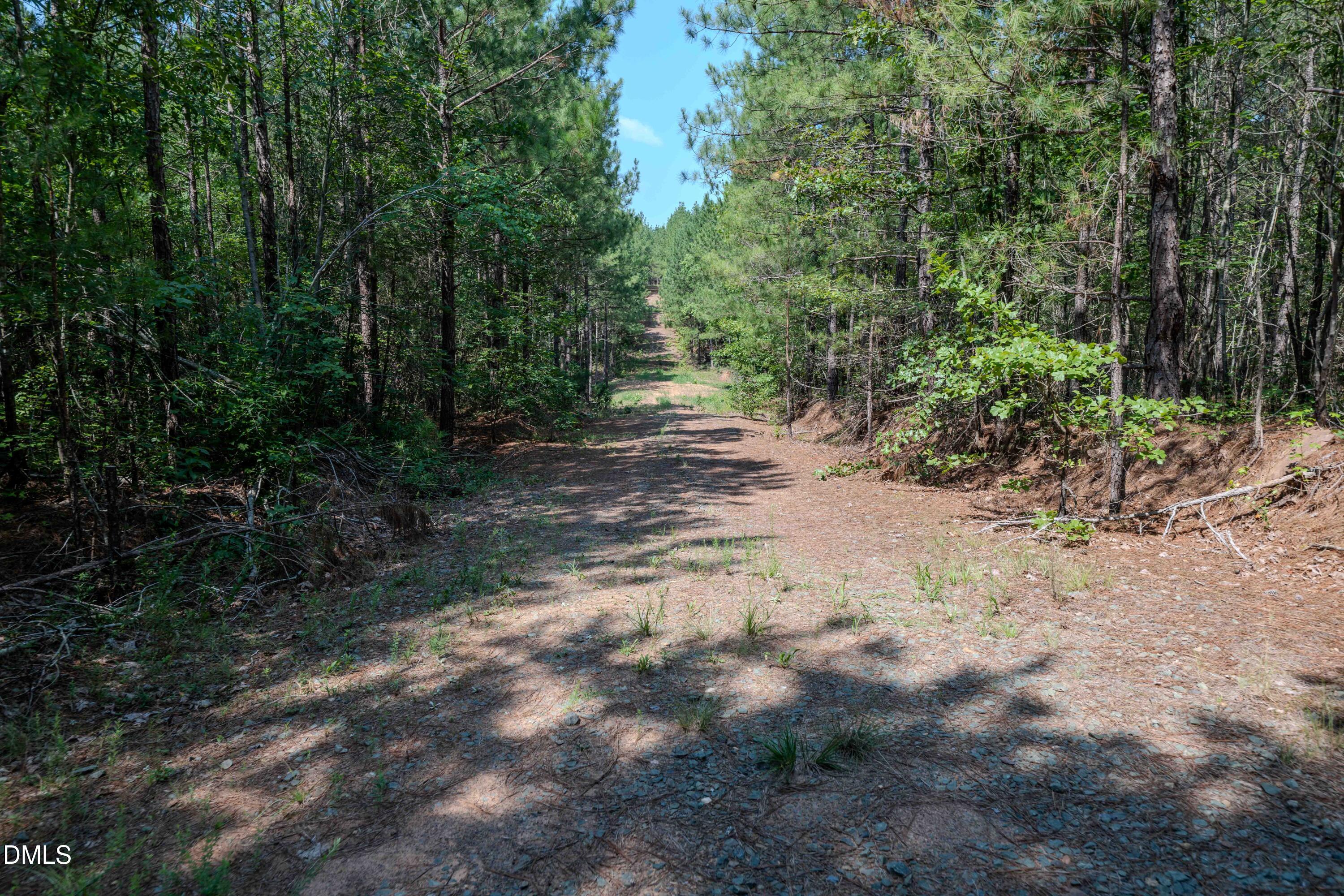 0 Haw Branch Road Sanford, NC 27330 - Photo 27 of 41 Chatham Lumber 77.2 Ground-13