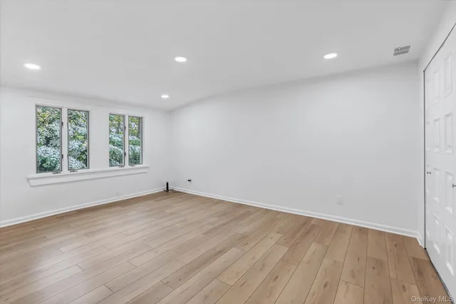 a view of a garden with plants and large trees