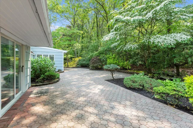 a backyard of a house with plants and large trees
