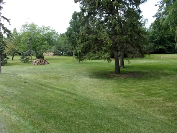 a view of field with trees