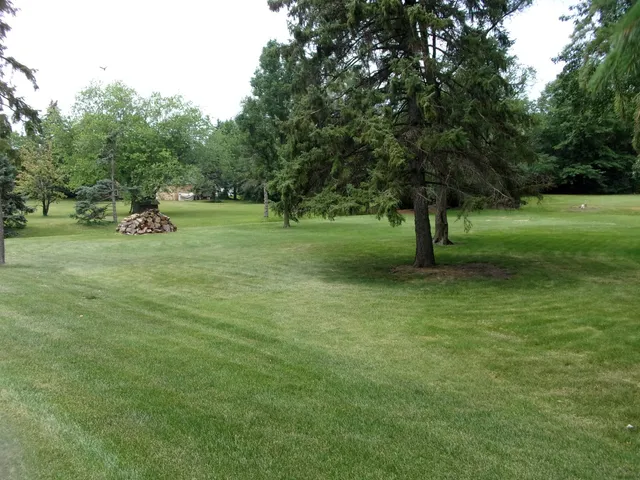a view of field with trees