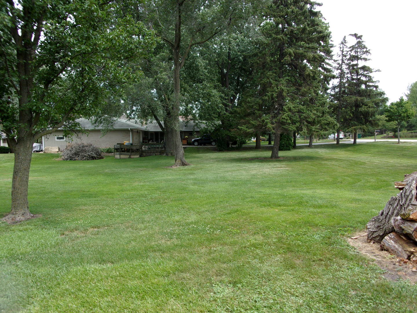 232 Eastgate Road Lombard, IL 60148 - Photo 3 of 17 a backyard of a house with lots of green space