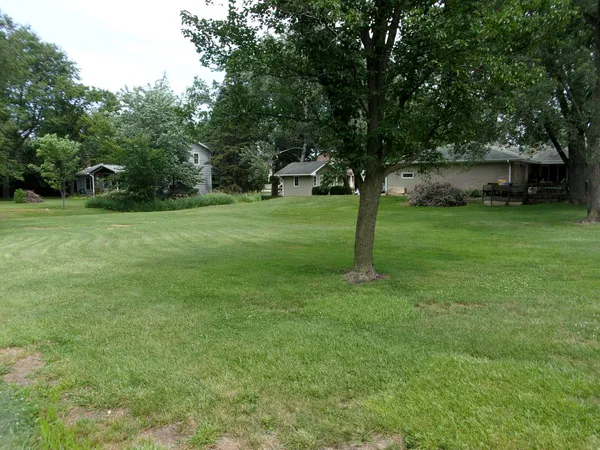 a view of a garden with a tree