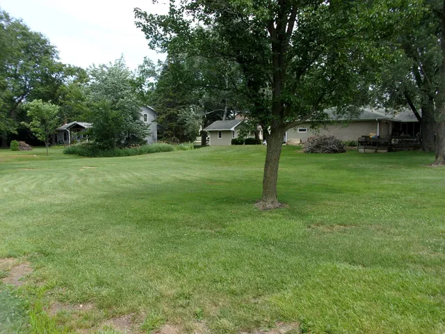 a view of a garden with a tree