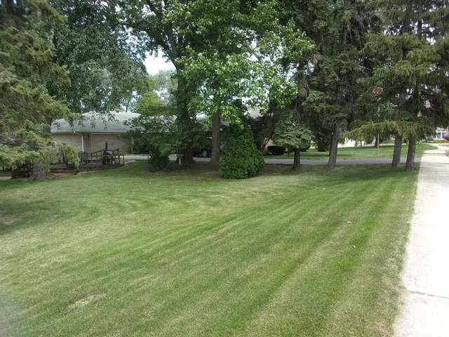 a view of a backyard with a garden and trees