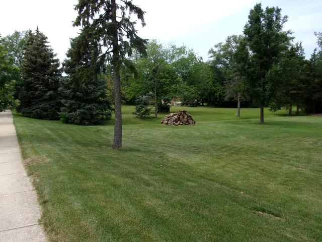 a view of a park with large trees