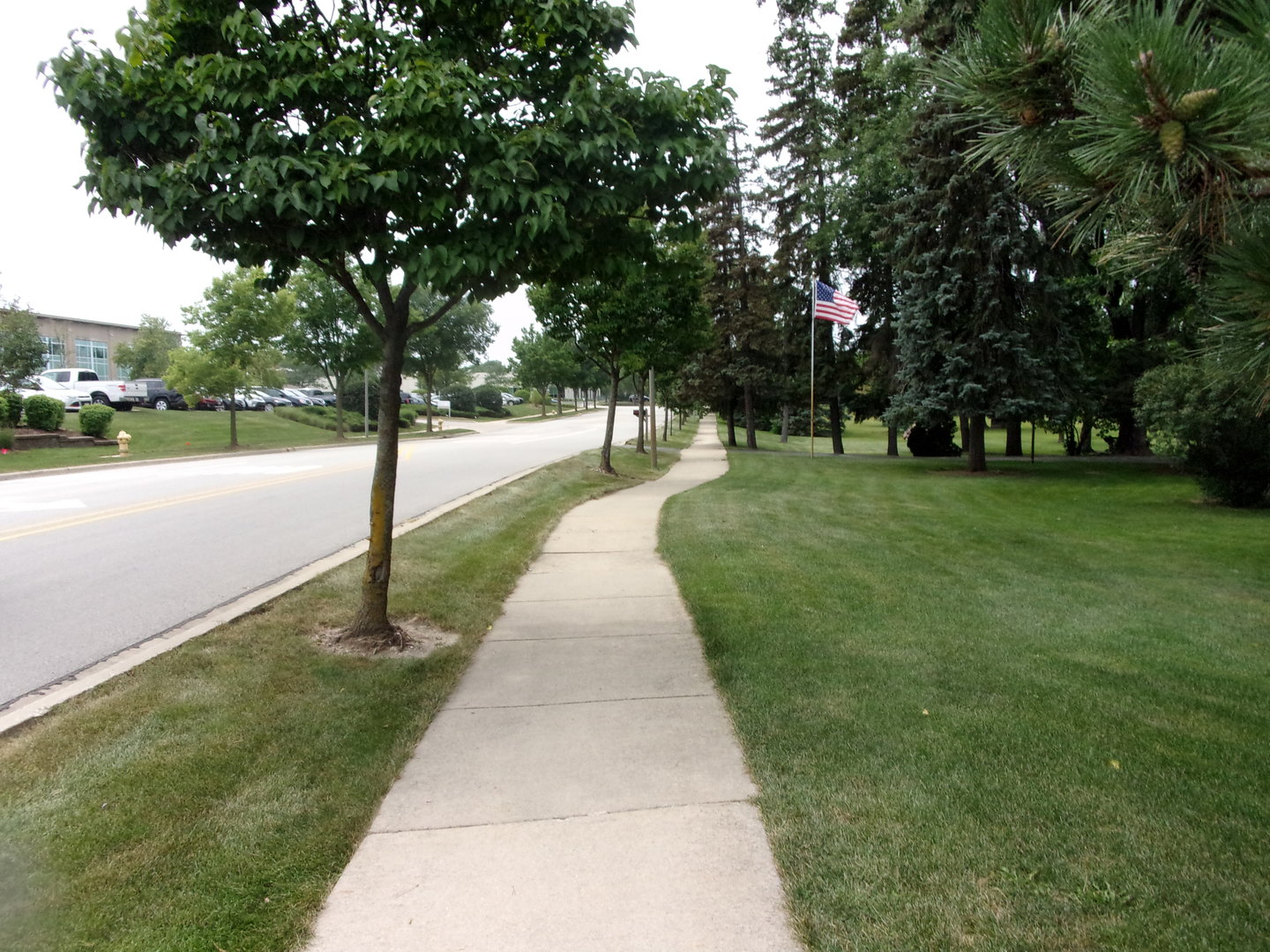 232 Eastgate Road Lombard, IL 60148 - Photo 10 of 17 a park with large trees