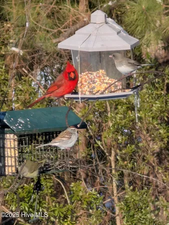 $314,900 | 108 Willowbend Drive, Burgaw, NC 28425