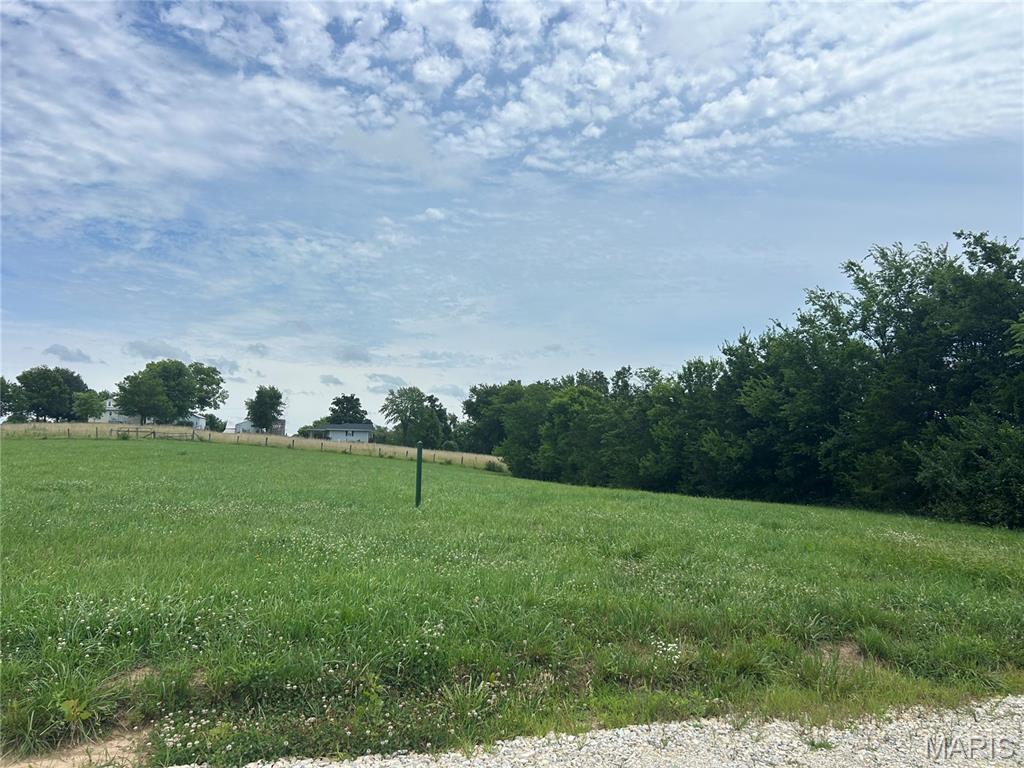 Lot 1 Ridgewood Place Villa Ridge, MO 63089 - Photo 4 of 10
