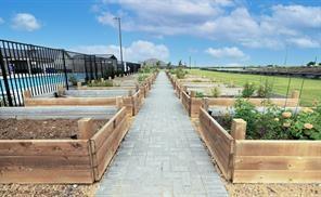 6213 Abby Drive Aubrey, TX 76227 - Photo 26 of 32 a view of swimming pool with outdoor seating and plants