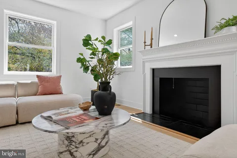 a living room with furniture a fireplace and a potted plant