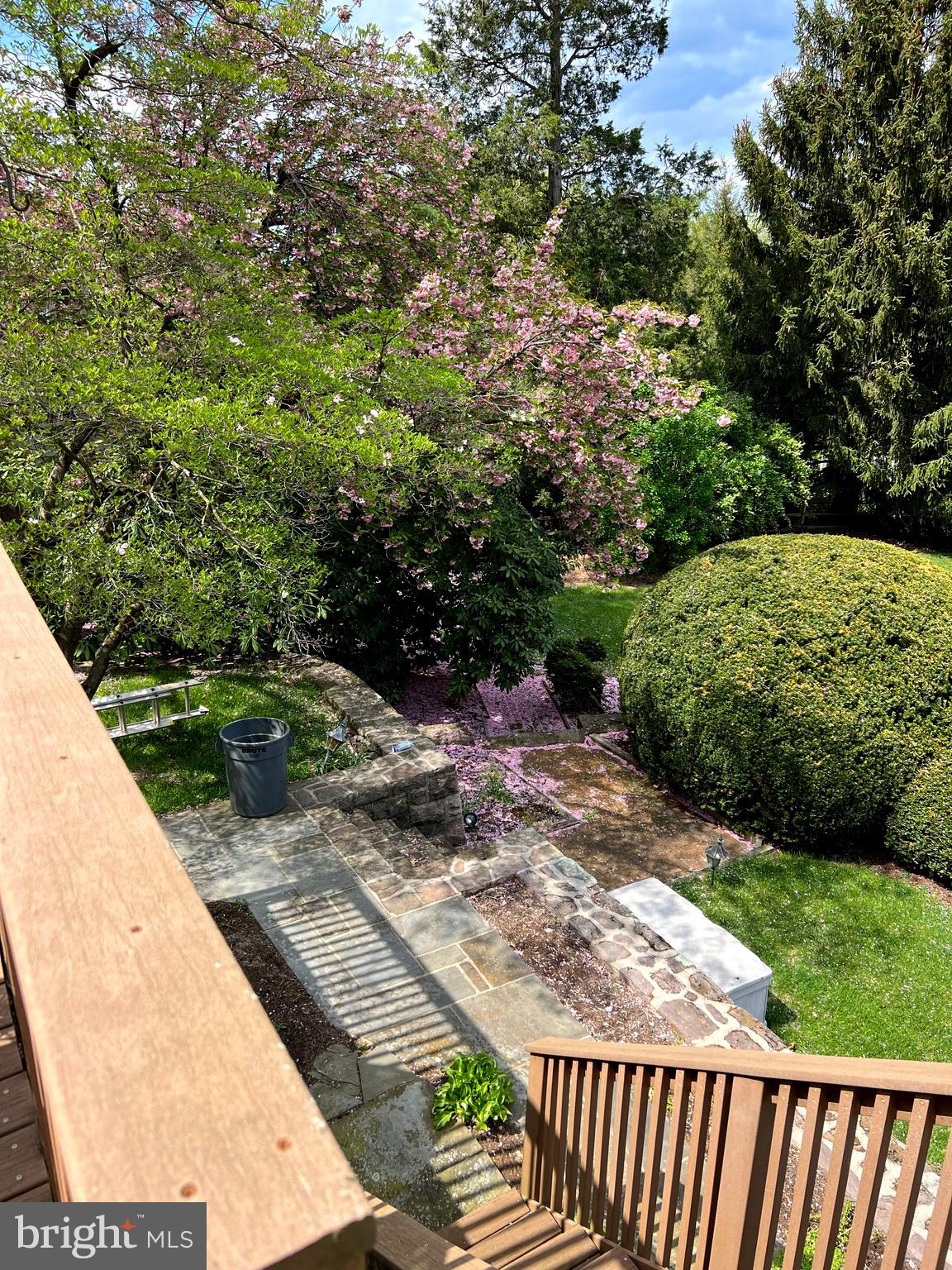 97 Grandview Boulevard Reading, PA 19609 - Photo 57 of 64 Lucious plantings in the rear yard